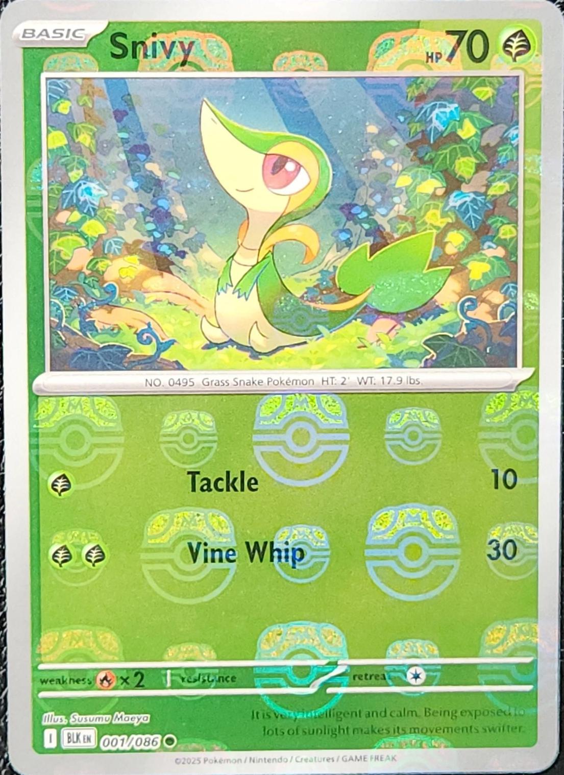 Black Bolt Snivy [Master-Ball] Pokémon card
